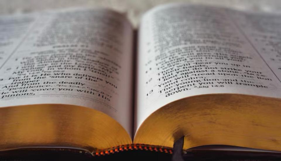 വംശാവലി എഴുതപ്പെടുന്ന വഴികൾ.