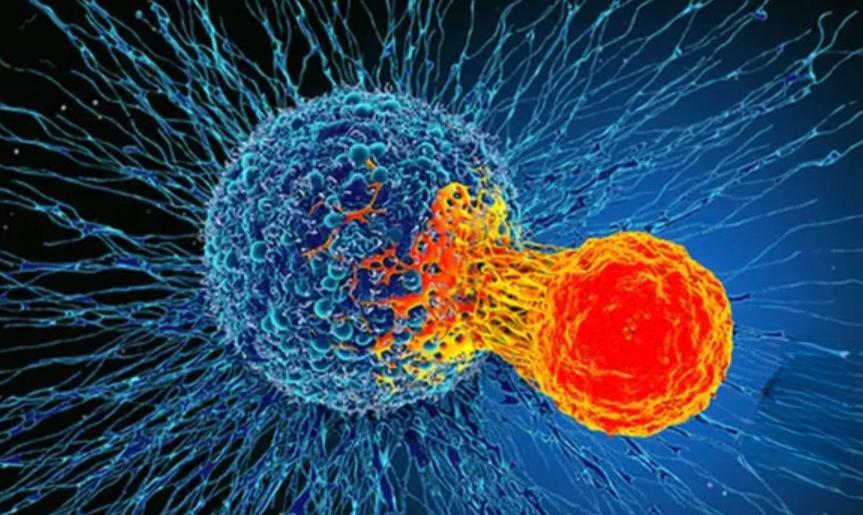 വ്യായാമം മരുന്നാകുമോ? സ്തനാർബുദ ഗവേഷണം സൂചന നൽകുന്നു.