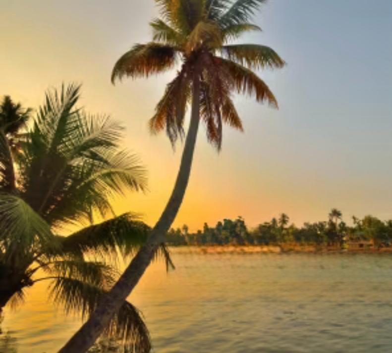 ലഹരിവിരുദ്ധ പോരാട്ടം ശക്തമാകുന്നു: വിദ്യാഭ്യാസ സ്ഥാപനങ്ങളും നാട്ടുകാരും മുൻനിരയിലേയ്ക്ക്.