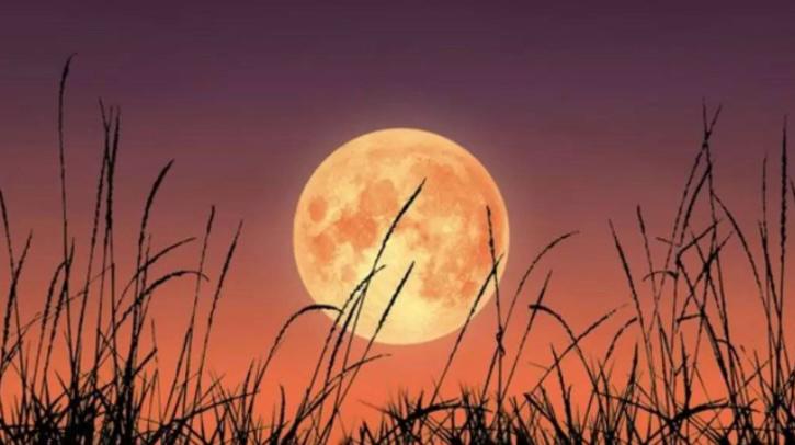 ഒക്ടോബറിലെ ഹരിവെളിച്ചം: “ഹാർവെസ്റ്റ് സൂപർമൂൺ” ഇന്ന് രാത്രി ആകാശം അലങ്കരിക്കും.